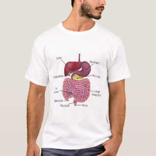 Gastro-intestinales Verdauungssystem und Aufkleber T-Shirt
