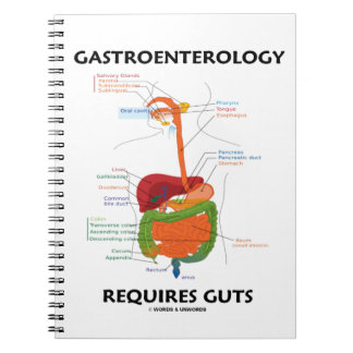 Gastroenterologie erfordert ein gesundes System Notizblock