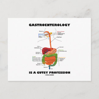 Gastroenterologie ist ein Gutsberuf Postkarte