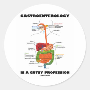 Gastroenterologie ist ein Gutsberuf Runder Aufkleber