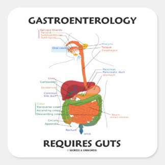 Gastroenterology Requires Guts (Verdauungssystem) Quadratischer Aufkleber