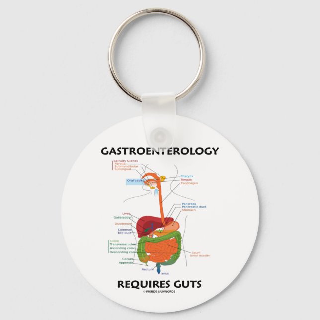Gastroenterology Requires Guts (Verdauungssystem) Schlüsselanhänger (Vorderseite)