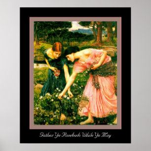 Gather Ye Rosenknospe Poster