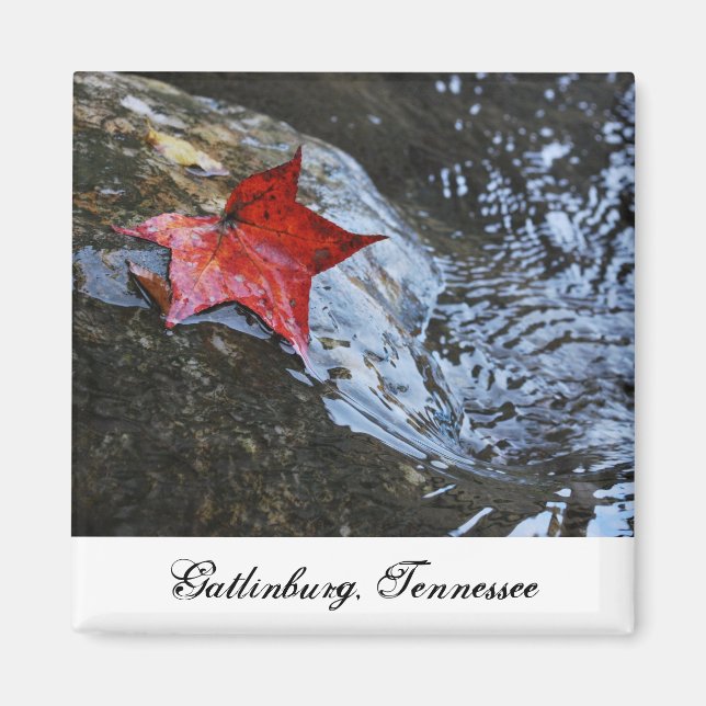 Gatlinburg Leaf Magnet (Vorne)