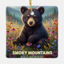 Gatlinburg Smokey Mountains Wilde Wunder