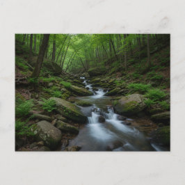 Gatlinburg , Tennessee Forest waterfall Postkarte