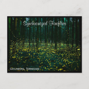 Gatlinburg Tennessee Postcard TN Postkarte