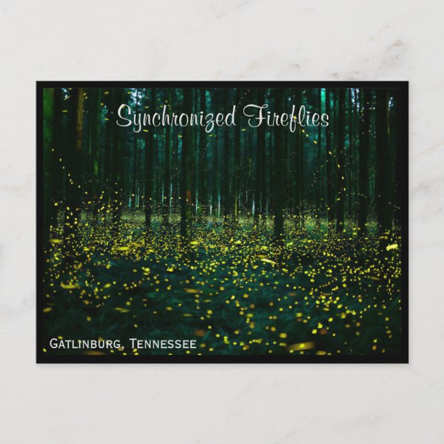 Gatlinburg Tennessee Postcard TN Postkarte (Vorderseite)