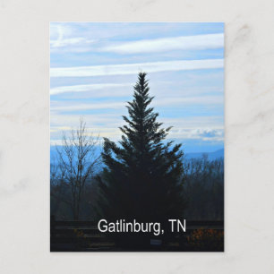 Gatlinburg, Tennessee Postkarte