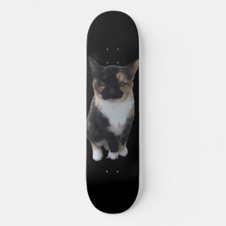 GatoDisapproves Skateboard