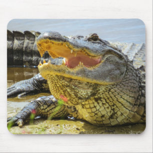 Gator. Angesicht Mousepad