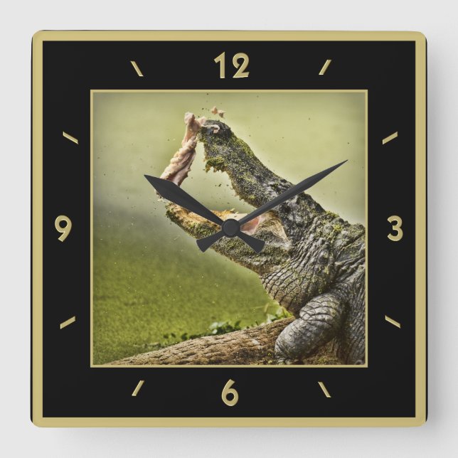 Gator Catching Lunch Action Fotografy Quadratische Wanduhr (Vorderseite)
