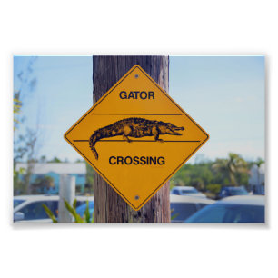 Gator Crossing Sign, Florida Fotodruck