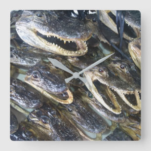 Gator Head Clock Quadratische Wanduhr