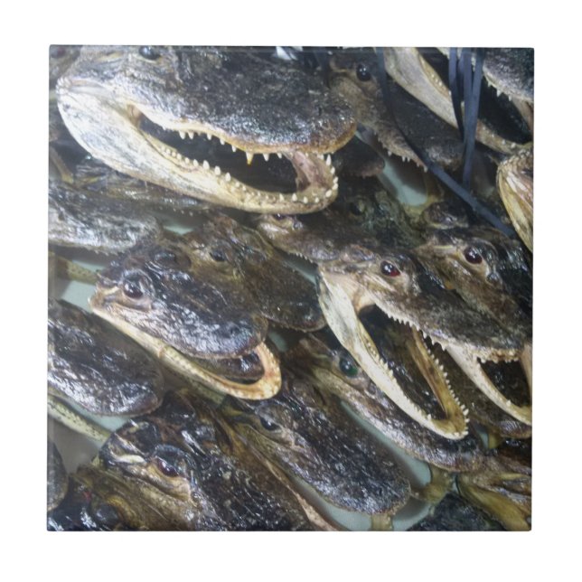 Gator Head Keramik Tile Fliese (Vorderseite)