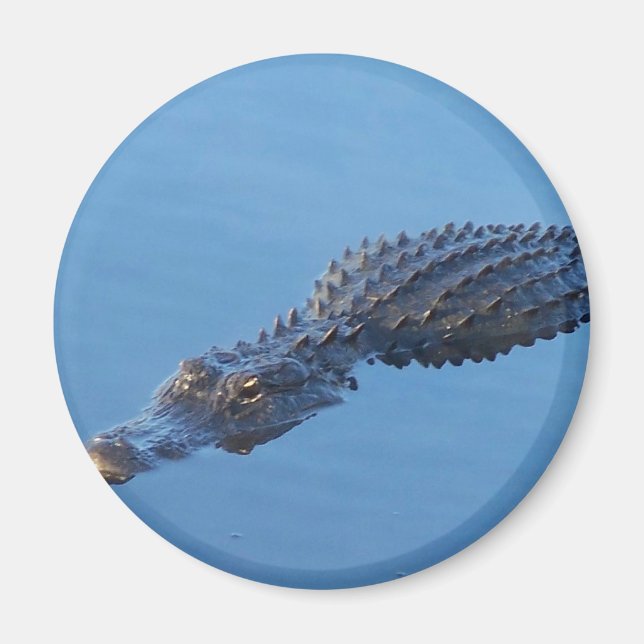 Gator I Magnet (Vorne)