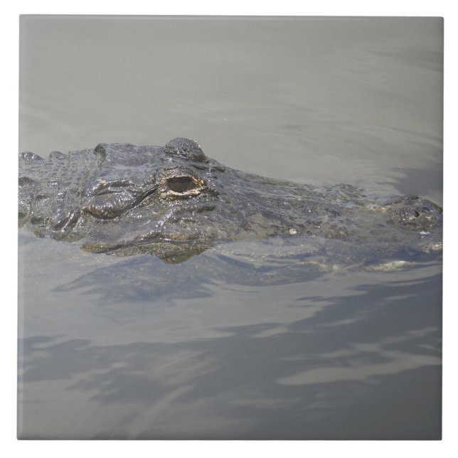 Gator in Wait Fliese (Vorderseite)