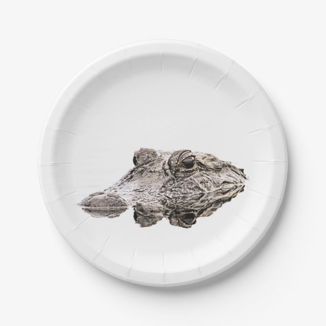 Gator Paper-Teller Pappteller (Vorderseite)