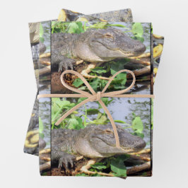 Gator Wrapping Paper Sheets - 3 Design-Set Geschenkpapier Set