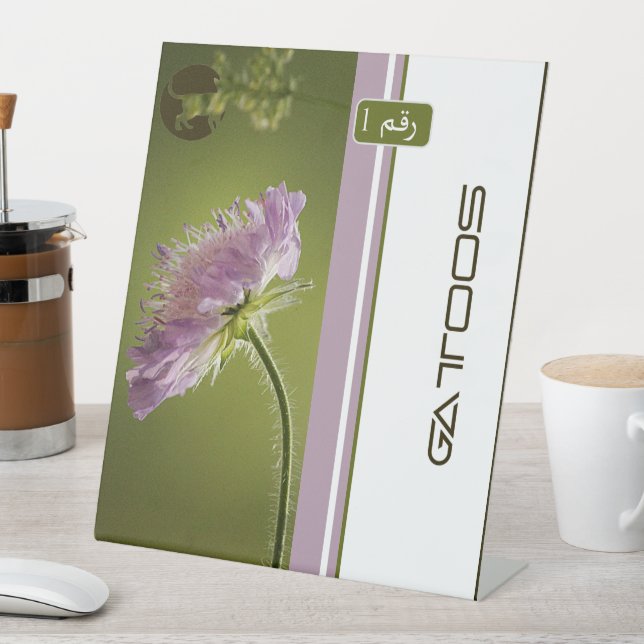 GATTOOS SOCKELSCHILD (In Situ)