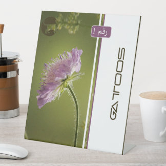 GATTOOS SOCKELSCHILD