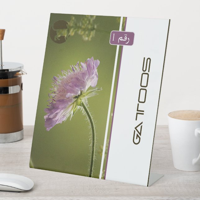 GATTOOS SOCKELSCHILD (In Situ)