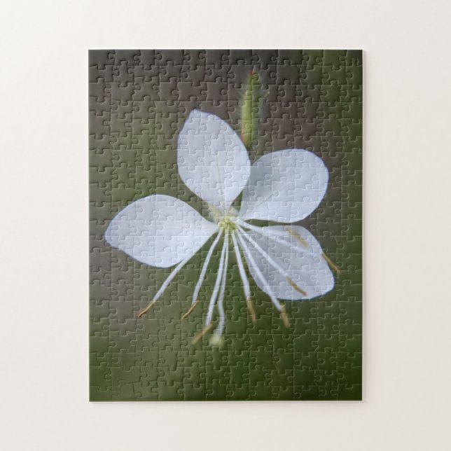 Gaura lindheimeri - Whirling Schmetterlinge Puzzle (Vertikal)