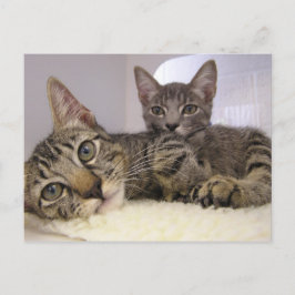 Gaven & Grover Postkarte