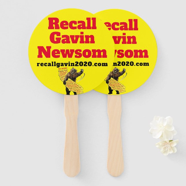 Gavin Newsm zurückrufen Fächer (Vorne und Hinten)