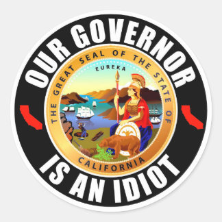 Gavin Newsom ist ein Idiot Runder Aufkleber