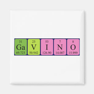 Gavino-Magnet Magnet