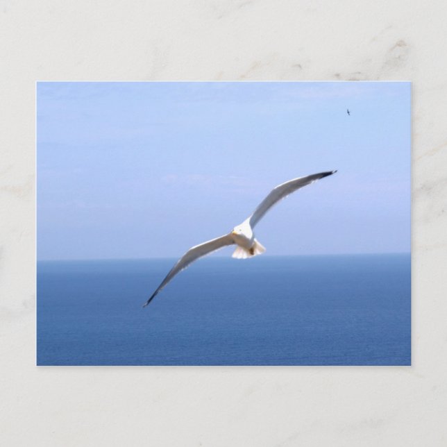 Gaviota Postkarte (Vorderseite)