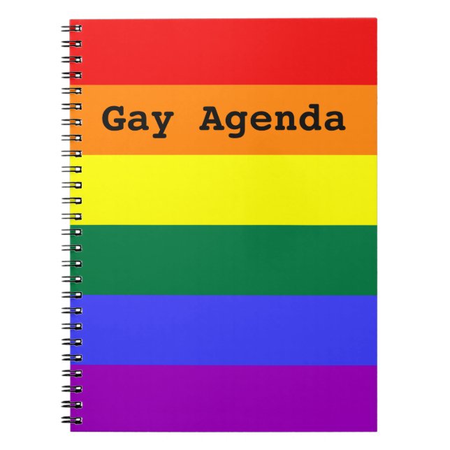 Gay Agenda Rainbow Solid Strip Notebook Notizblock (Vorderseite)