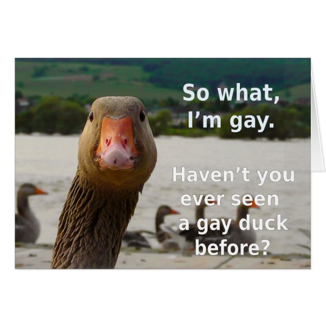 Gay Duck Pride (Vorderseite (Horizontal))