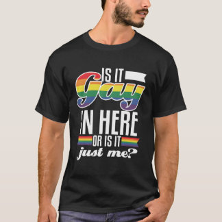 Gay in here oder Einfach lustig ich Prix Lgbtq Rai T-Shirt