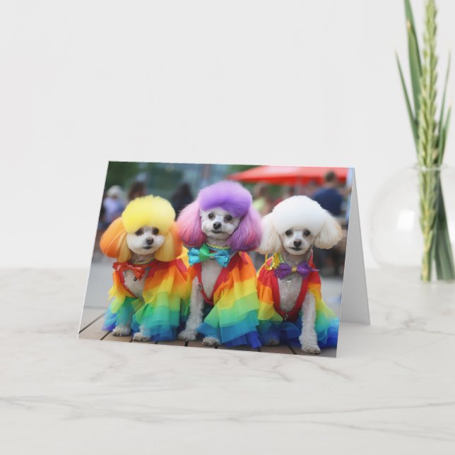 Gay Pride Bichon Frisse hunde Karte (Vorderseite)