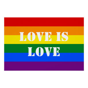 Gay Pride der Regenbogenflagge LGBTQ Liebe ist Lie Poster