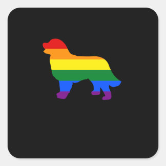 Gay Pride Hund Bernese Mountain Hund Gay Pride Hun Quadratischer Aufkleber