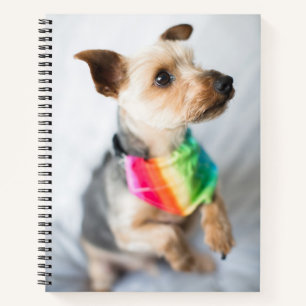 Gay Pride Rainbow Dog Yorkshire Terrier Notizbuch
