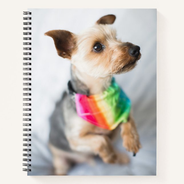 Gay Pride Rainbow Dog | Yorkshire Terrier Notizbuch (Vorderseite)