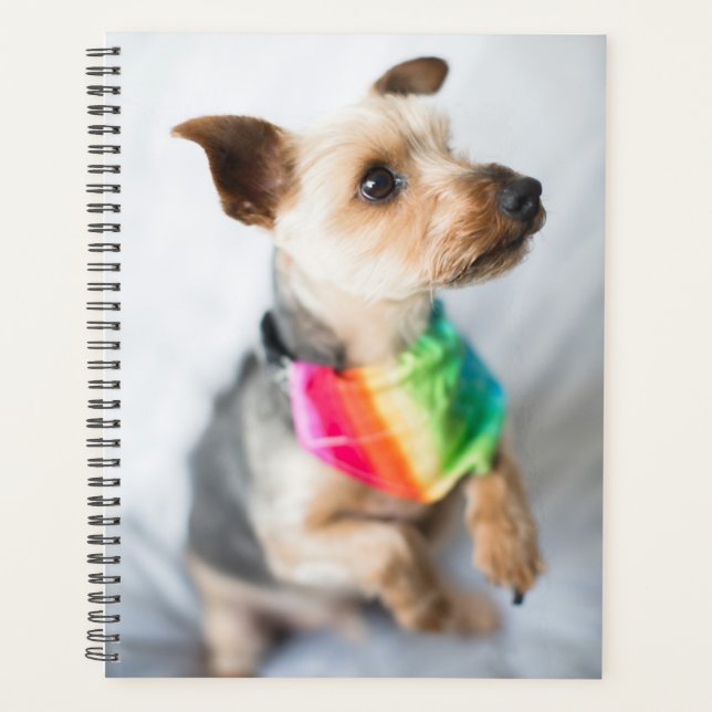 Gay Pride Rainbow Dog | Yorkshire Terrier Planer (Vorderseite)