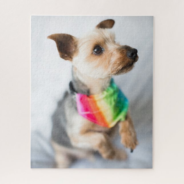 Gay Pride Rainbow Dog | Yorkshire Terrier Puzzle (Vertikal)