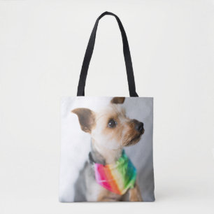 Gay Pride Rainbow Hund Yorkshire Terrier