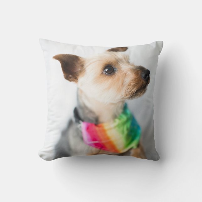 Gay Pride Rainbow Hund| Yorkshire Terrier Kissen (Vorderseite)
