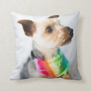 Gay Pride Rainbow Hund  Yorkshire Terrier Kissen