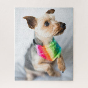 Gay Pride Rainbow Hund Yorkshire Terrier Puzzle