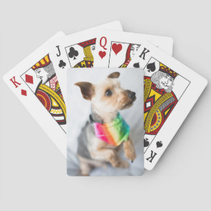 Gay Pride Rainbow Hund  Yorkshire Terrier Spielkarten