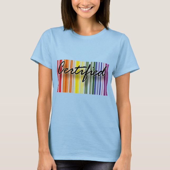 GAY PRIDE-zertifizierter RAINBOW-T - Shirt (Vorderseite)