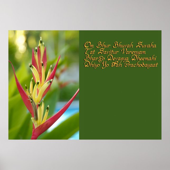 Gayatri Mantra Poster (Vorne)