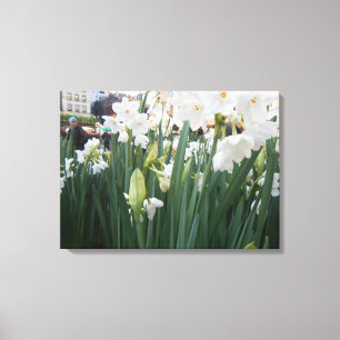 "Gaye Elise Beda", "New York City, NYC" Leinwanddruck